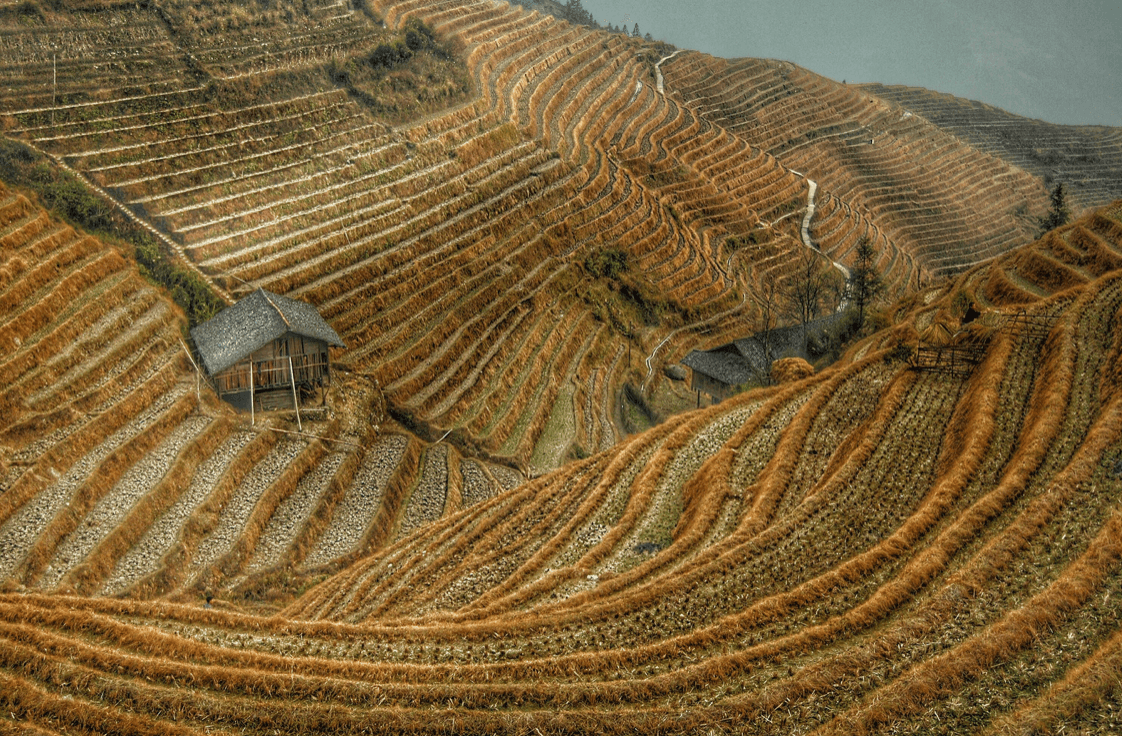 Tecnificación e industrialización del sector agrícola