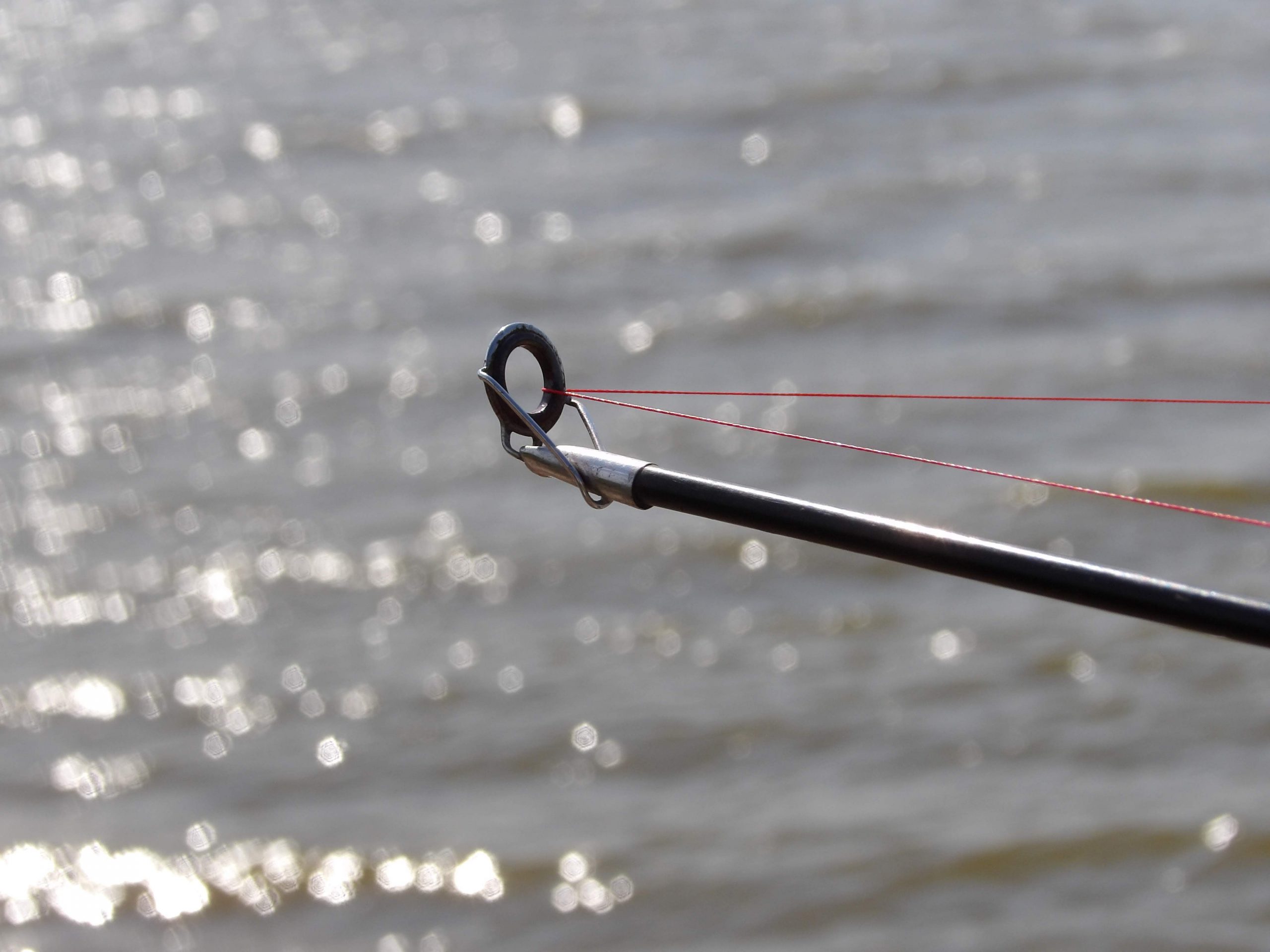 Los beneficios de SAP S/4HANA para el sector de Pesca