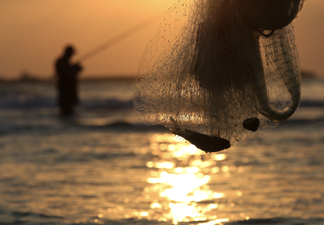 Uso del Big Data en la pesca: beneficios para la toma de decisiones sostenibles